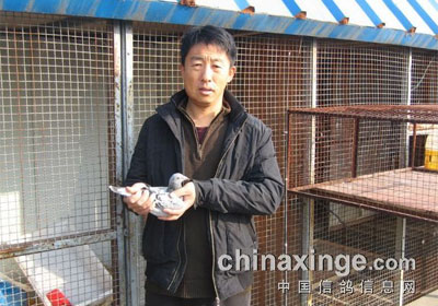 ʯ��ɽ�����߱������ۺ�ǰʮ��(ͼ)