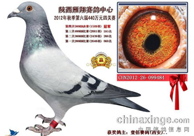 ����ٹ�������� �񽱸�չʾ(ͼ)