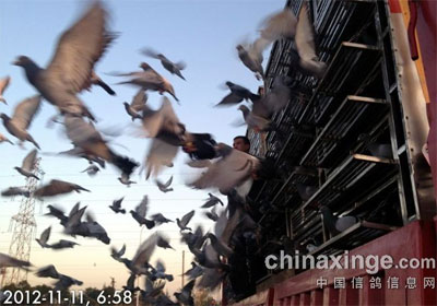 ���������ڶ���ǰ20����¯(ͼ)