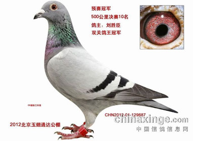 ���ͨ�﹫������񽱸���(ͼ)