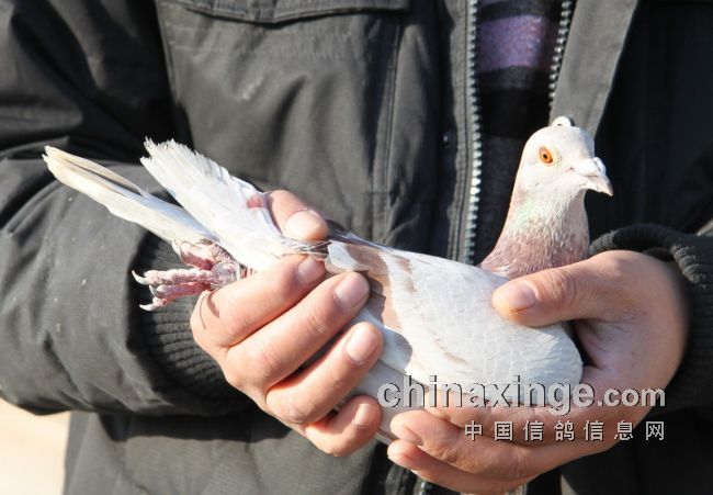 ������������ܾ���ǰʮ�����(ͼ)