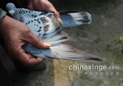 �人����2000Ԫר����һ�����(ͼ)