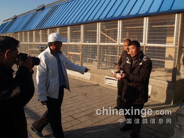 ����Ÿ���ֲ�����ϵ�б���(��)