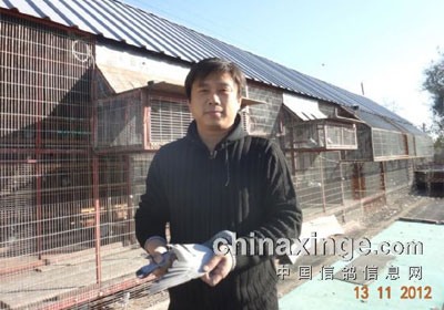 ������̨350�������ǰʮ����Ƭ(ͼ)