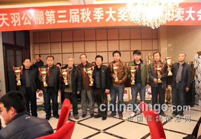 ������ľ������佱�����Ļ(ͼ)