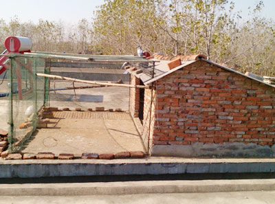 17��ũ�����ɹª��(ͼ)