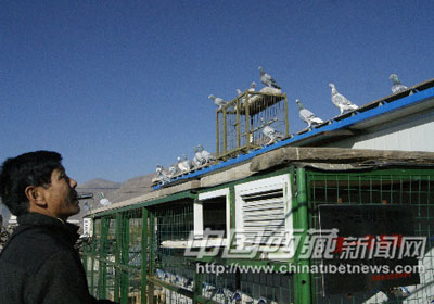 ̽��2013�������ս����ʿ(ͼ)