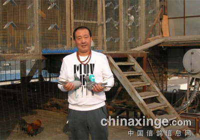 �����������������ۺ�ǰʮ���(ͼ)