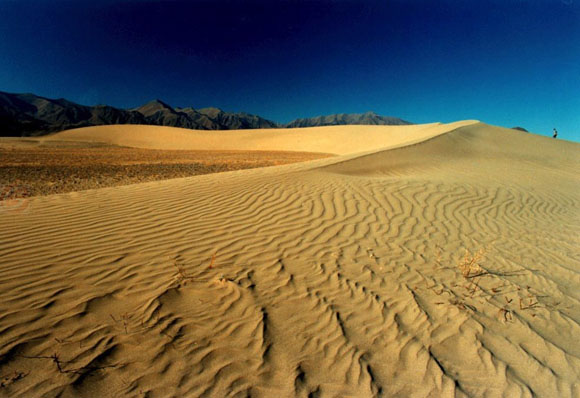 �������裺��ظ�ԭѩ����ս����������