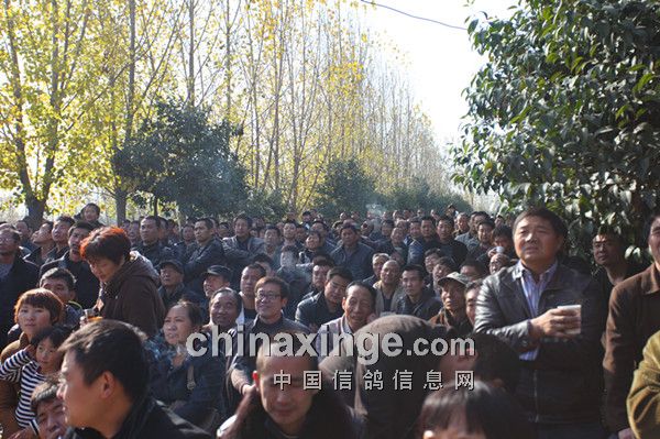 ����ƽ����һ�˿������µ�(ͼ)