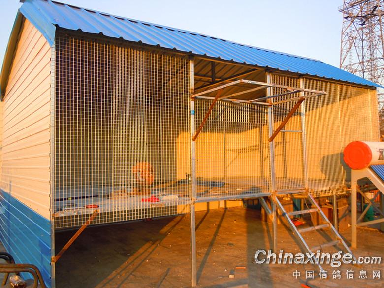 ������׼�ٽ�����(ͼ)