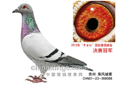 ����������������ǰʮ������(ͼ)