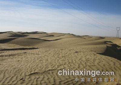 ��������սɳĮ����������֤���ල����(ͼ)