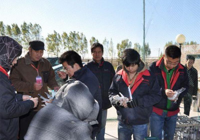 ����ʤ����500���������ʵ(ͼ)