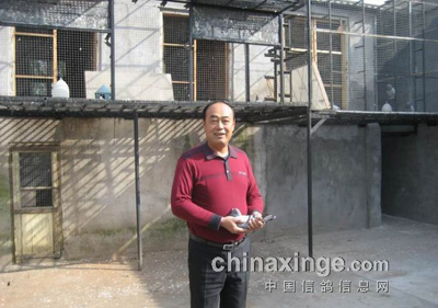 ����������վǰ���׷��(ͼ)