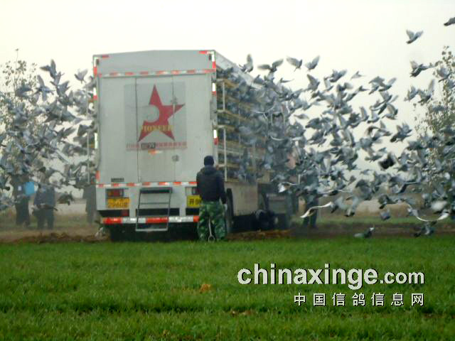 �������ǿ��վ���23���ӱ���500��(ͼ)