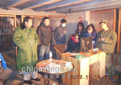 ׿Խ�ǹ���300����Ԥ��½���鳲(ͼ)