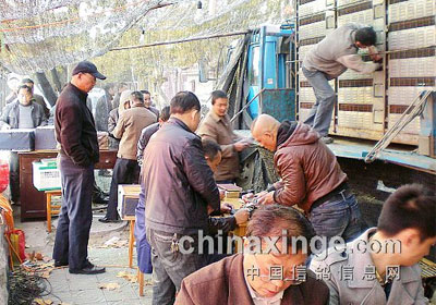 �����еڰ˽�5846���׸��رȻ���ʱ�ɼ�