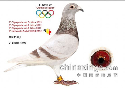 2013�����ʱ����ƥ�˴�������������