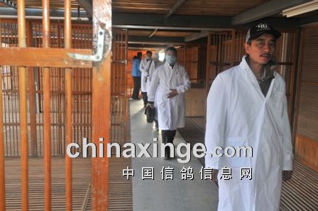 2012���ϲ���300KM��Ԥ������(ͼ)