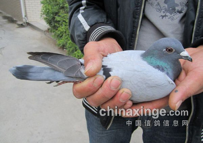 ��������500�����»�Ա��� ǰʮ������(ͼ)