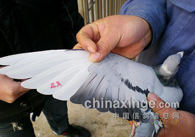 ���ʴ�������߽�������ʵ(ͼ)