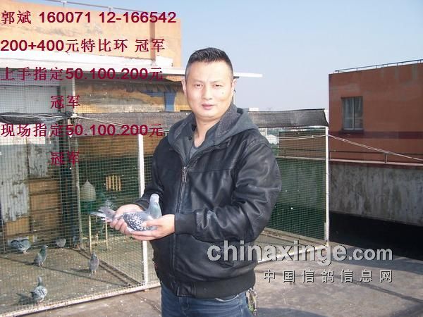 �Ϻ��ֶ��رȸ���ָ���ھ����(ͼ)