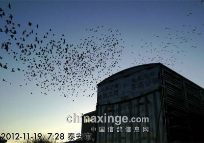 �������������ػ�������¯(ͼ)