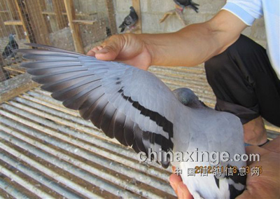 ����700KM��ݸվ�ھ����