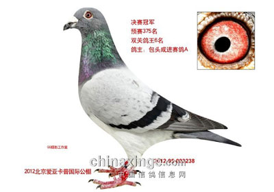 �������ǿ��վ��������ǰʮ���񽱸�(ͼ)