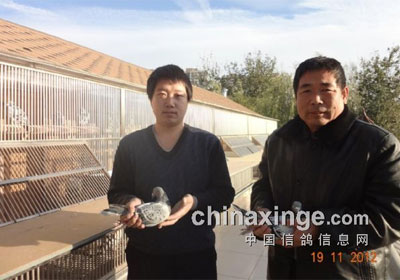 ������̨500����3819��ǰʮ����Ƭ