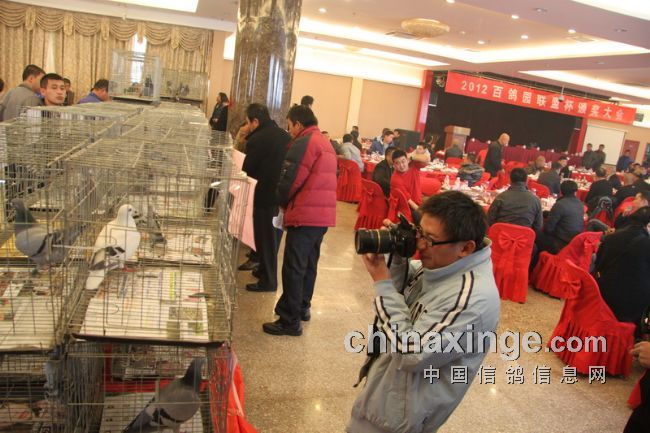 ���˱����ظ�����������(ͼ)