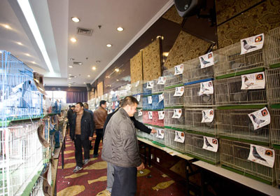 �㽭���칫����а佱������(ͼ)