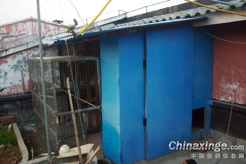 ���������������(ͼ)