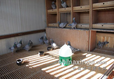 ��Ѿ��ֲ�֮��������(ͼ)