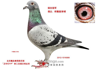 ������������ۺ�ǰ150���񽱸�����(ͼ)