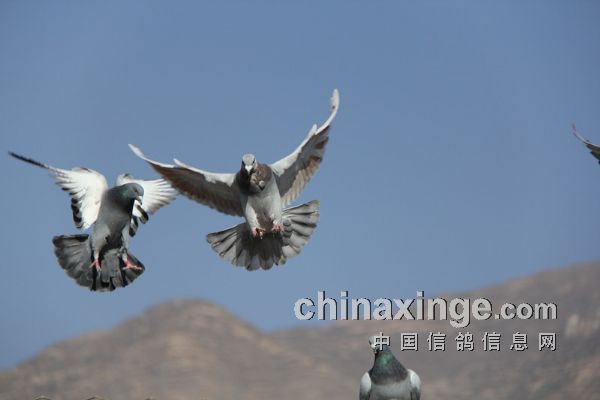 ���Ϲ۹����� ϲ�ǲΰ��޻�˵