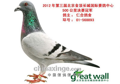 �����𶥳��Ǿ���������񽱸�(ͼ)