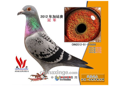 ���������վ��ǰʮ����������(ͼ)