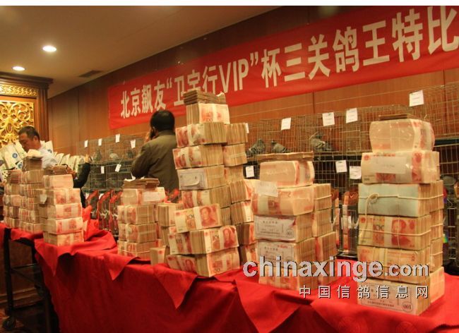 ������Ѹ����ܹھ��ĵ�85��Ԫ(ͼ)