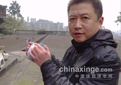 �����Ÿ���ֳ�ɫ(ͼ)