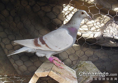 90���Լ���С����