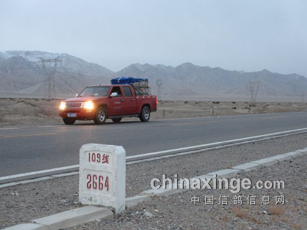 ��ս���ޣ���ظ�ԭѩ��Ӣ��ǰʮ��(ͼ)