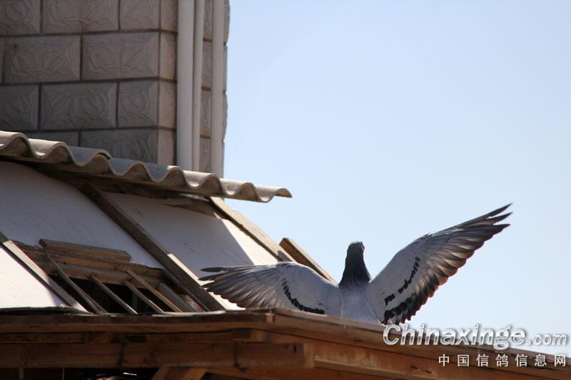 ����··ͨ�����ս��(ͼ)