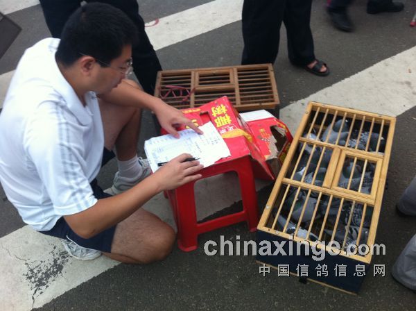 ����ΰ��ѹ�������뻨��(ͼ)