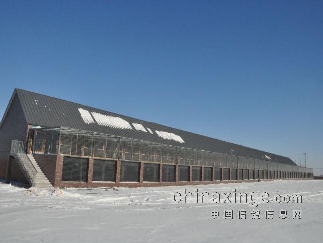 ͨ��������һ����Ⱥ����(ͼ��)