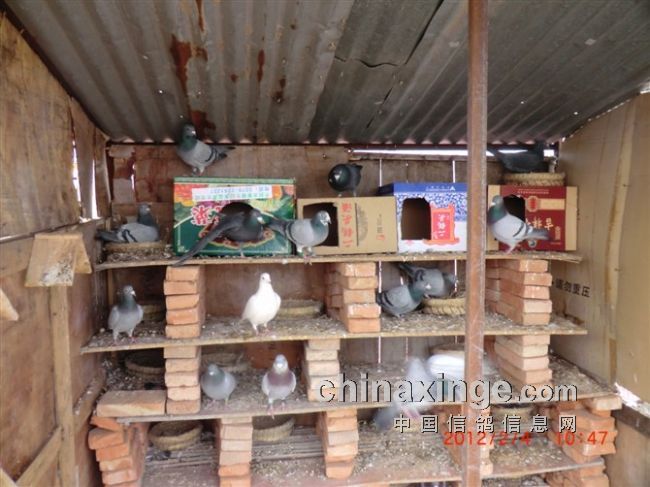 ����2012��ɼ���չʾ(ͼ)