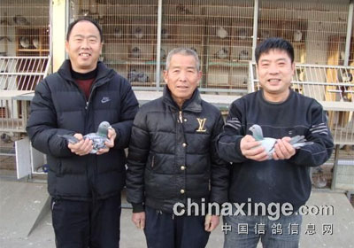 �����������320����ǰʮ���(ͼ)