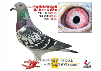 ������»�ù���Ц�����(ͼ)