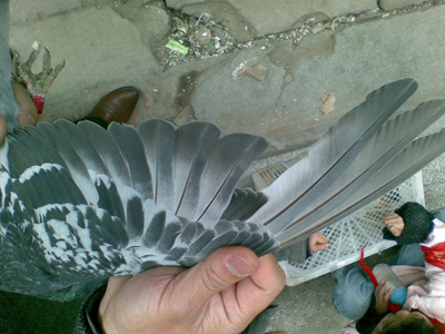 �����ٹ�